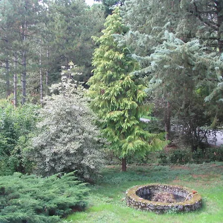 Вилла Villa San Francesco